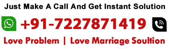 World Famous Astrologer Shri Sai Shyam Ji +91-7227871419